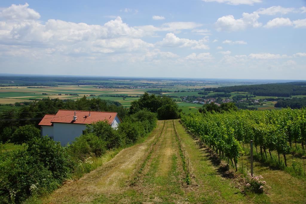 Kellerstoeckl Weinblick I Und II Villa Eisenberg an der Pinka ภายนอก รูปภาพ